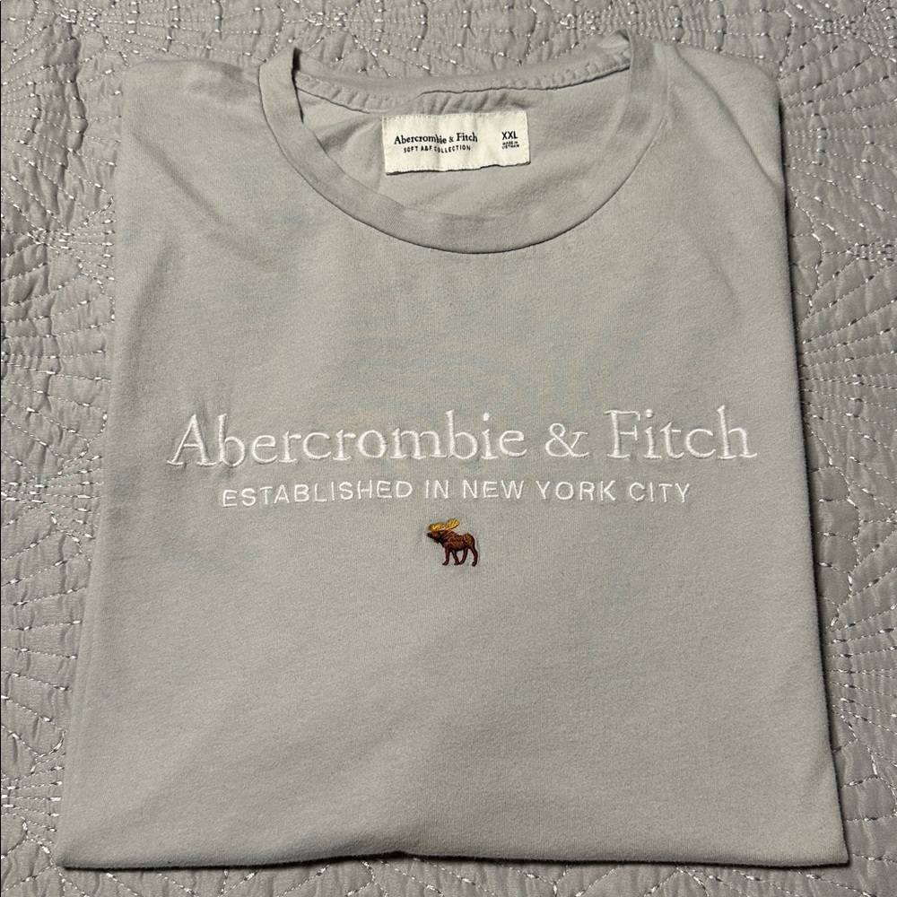 Abercrombie & Fitch Men’s Light Gray Short Sleeve Tee, GUC, Size 2X
